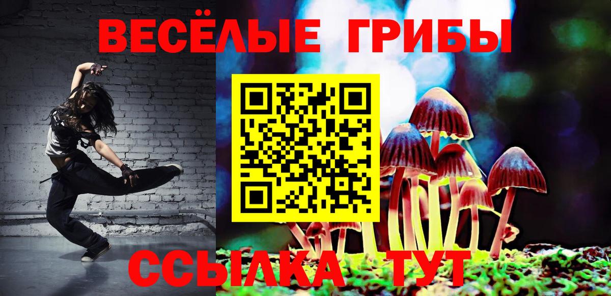 Псилоцибиновые грибы MAGIC MUSHROOMS  Вход с VPN  Воронеж 