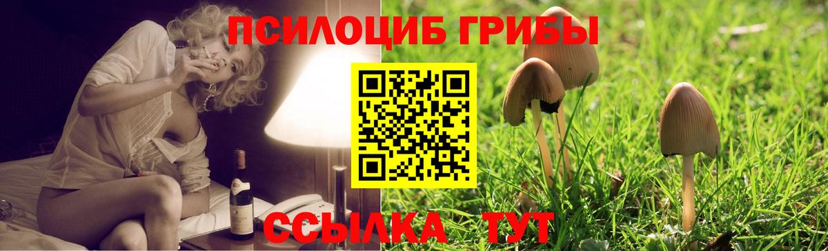 Галлюциногенные грибы GOLDEN TEACHER Воронеж